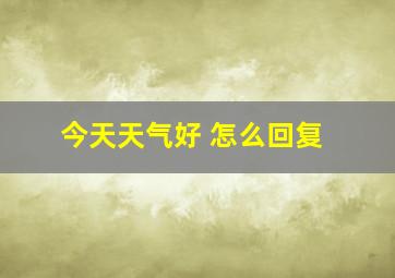 今天天气好 怎么回复